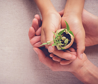 Adult hand helping student hold a baby plant in eggshell